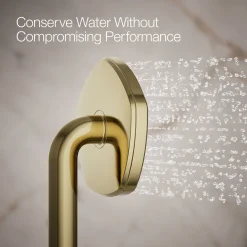 Single-function handshower, 2.5 gpm