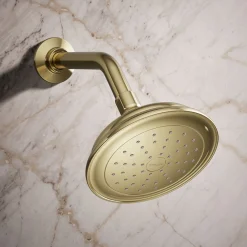 Single-function showerhead, 2.5 gpm