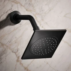 Single-function showerhead, 2.5 gpm