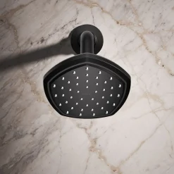 Single-function showerhead, 2.5 gpm