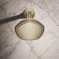 Single-function showerhead, 2.5 gpm