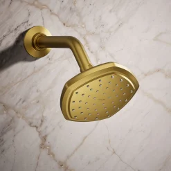 Single-function showerhead, 2.5 gpm