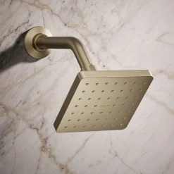 Single-function showerhead, 2.5 gpm