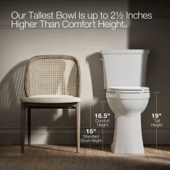 Tall two-piece elongated toilet with skirted trapway, 1.28 gpf