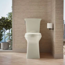 Tall two-piece elongated toilet with skirted trapway, 1.28 gpf