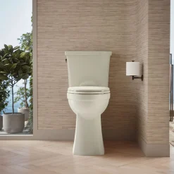 Tall two-piece elongated toilet, 1.28 gpf