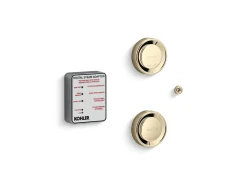 Tandem digital steam adapter kit