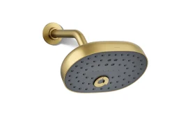 Three-function showerhead, 2.5 gpm