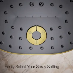 Three-function showerhead, 2.5 gpm