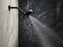 Three-function showerhead, 2.5 gpm