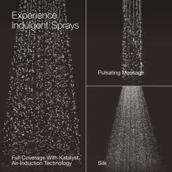 Three-function showerhead, 1.75 gpm