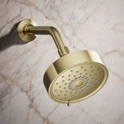 Three-function showerhead, 2.5 gpm