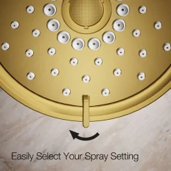 Three-function showerhead, 2.5 gpm