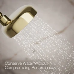 Three-function showerhead, 1.75 gpm