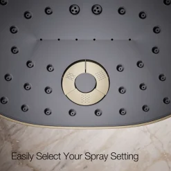 Three-function showerhead, 1.75 gpm