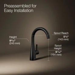 Transitional beverage faucet