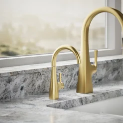 Transitional beverage faucet