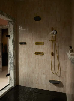 Two-function handshower, 1.75 gpm