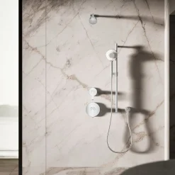 Two-function handshower with all-in-one cleansing device, 1.75 gpm