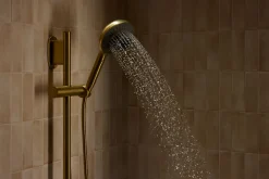 Two-function handshower with all-in-one cleansing device, 1.75 gpm