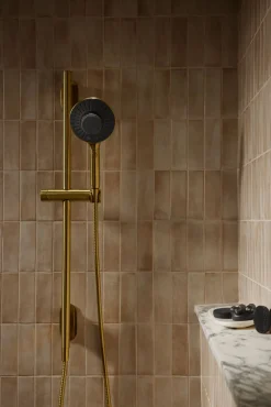 Two-function handshower with all-in-one cleansing device, 1.75 gpm