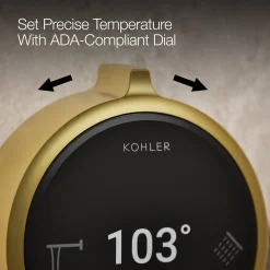 Two-outlet bath/shower digital control