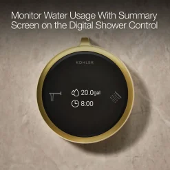 Two-outlet bath/shower digital control