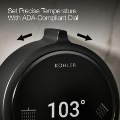 Two-outlet shower digital control