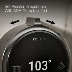Two-outlet shower digital control