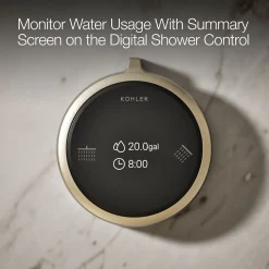 Two-outlet shower digital control