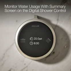 Two-outlet shower digital control