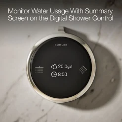 Two-outlet shower digital control