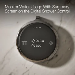 Two-outlet shower digital control