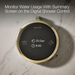 Two-outlet shower digital control
