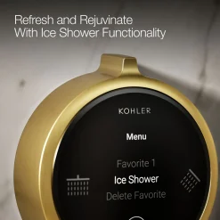 Two-outlet shower digital control