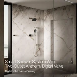 Two-outlet shower digital control