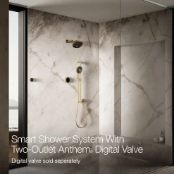 Two-outlet shower digital control