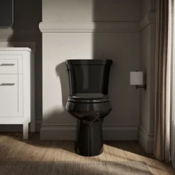 Two-piece elongated toilet, dual-flush