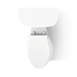 Two-piece elongated toilet, dual-flush