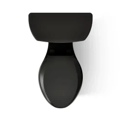 Two-piece elongated toilet, dual-flush