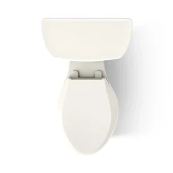 Two-piece elongated toilet, dual-flush