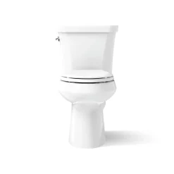 Two-piece elongated toilet, dual-flush