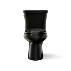 Two-piece elongated toilet, dual-flush