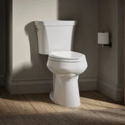 Two-piece elongated toilet, dual-flush