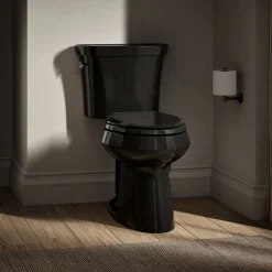 Two-piece elongated toilet, dual-flush