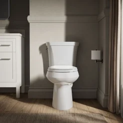 Two-piece elongated toilet, dual-flush