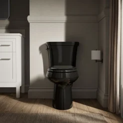Two-piece elongated toilet, dual-flush