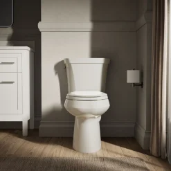 Two-piece elongated toilet, dual-flush