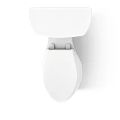 Two-piece elongated toilet, dual-flush