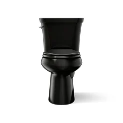 Two-piece elongated toilet, dual-flush